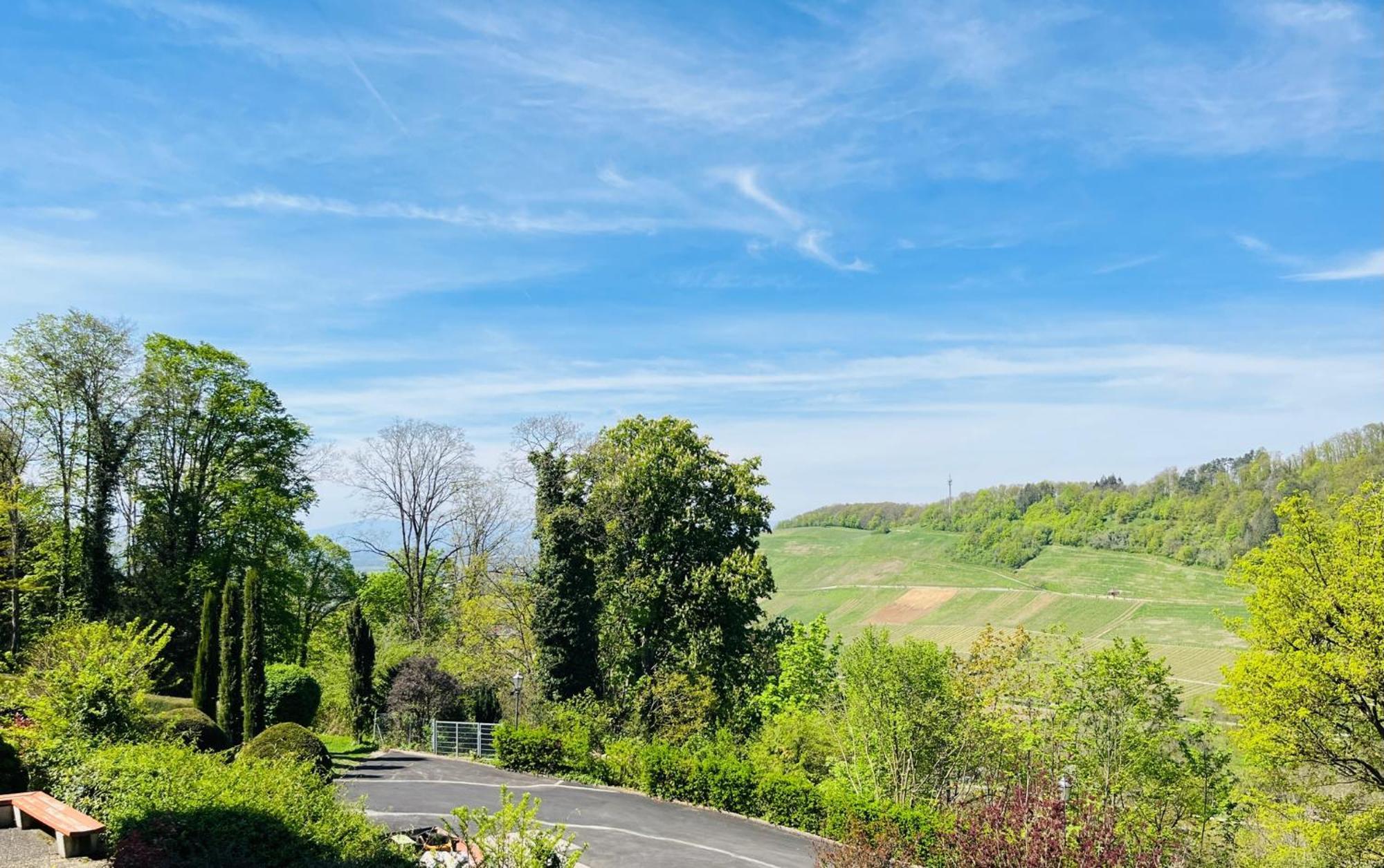 Hotel Schlossberg Badenweiler Exterior photo